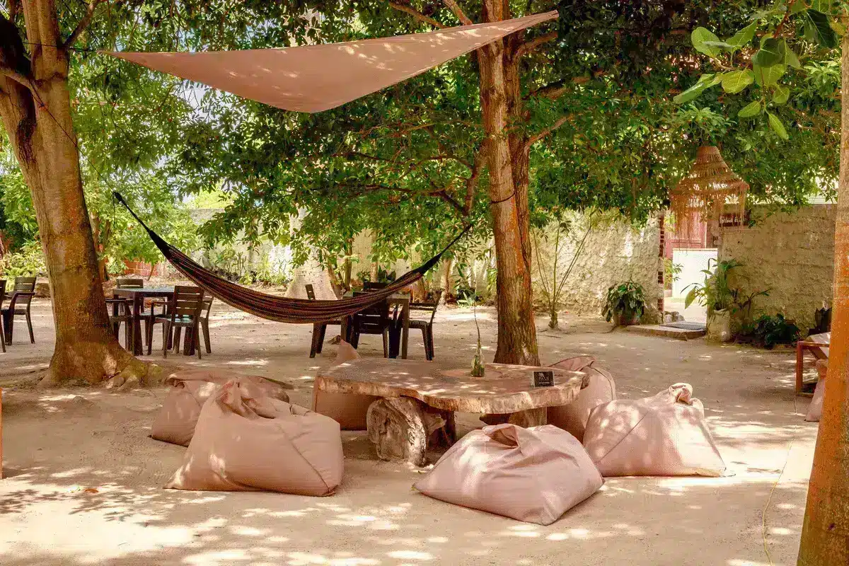 Isla Paue - Image 17