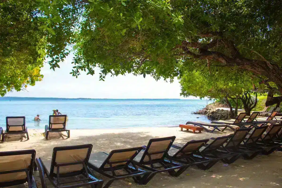 Rosario del Mar - Image 10