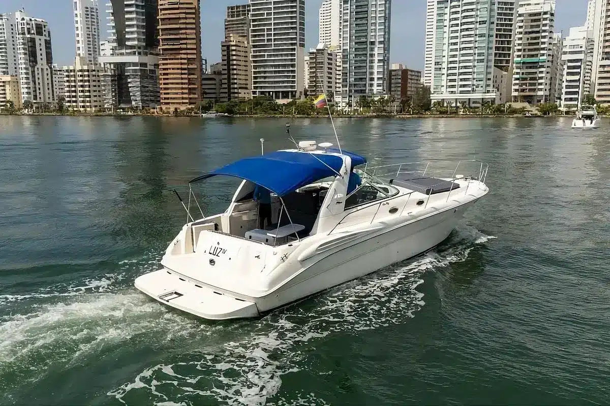 Yate Luz IV - Image 3