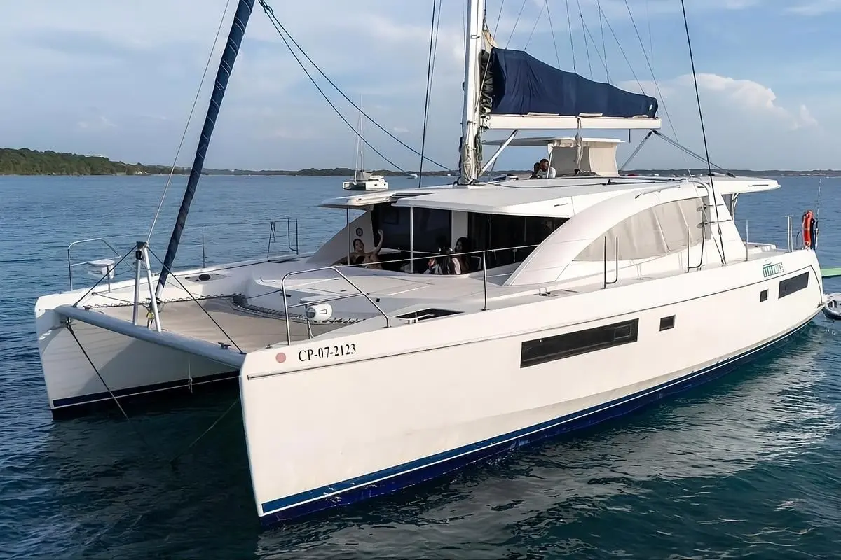 Catamarán Avalon One - Image 2