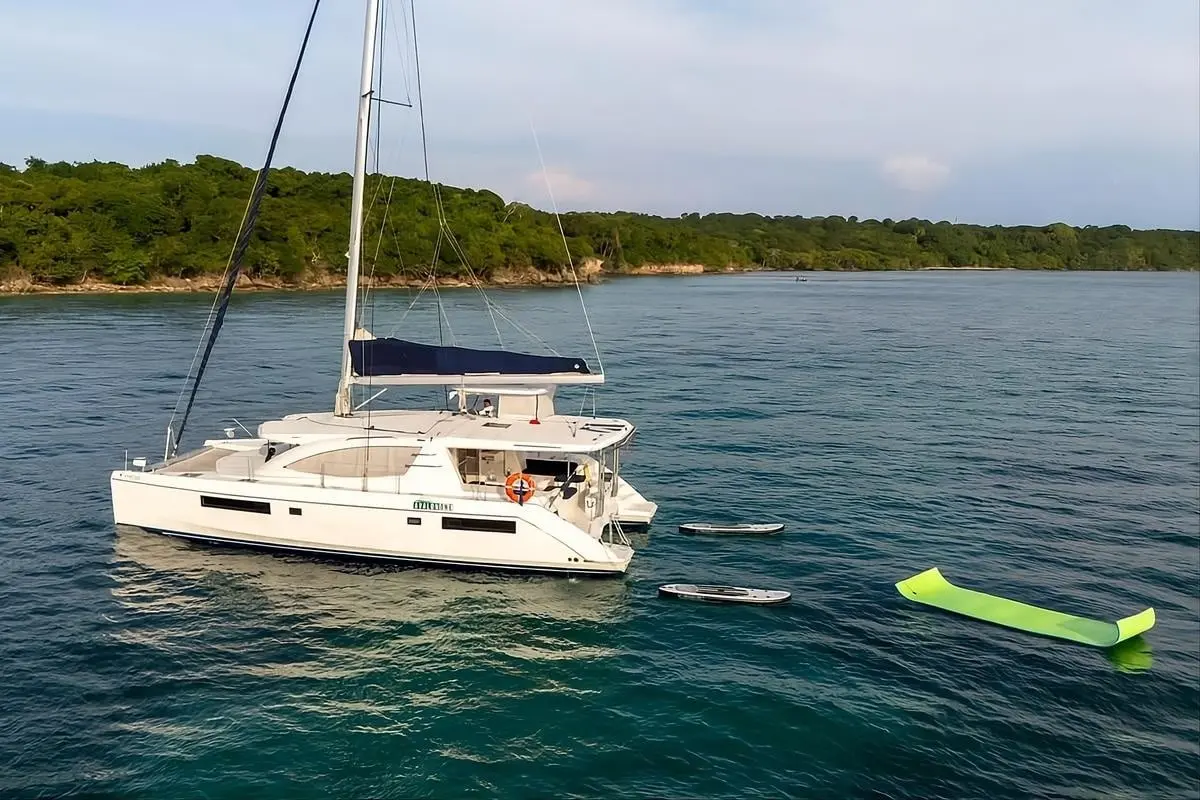 Catamarán Avalon One - Image 3